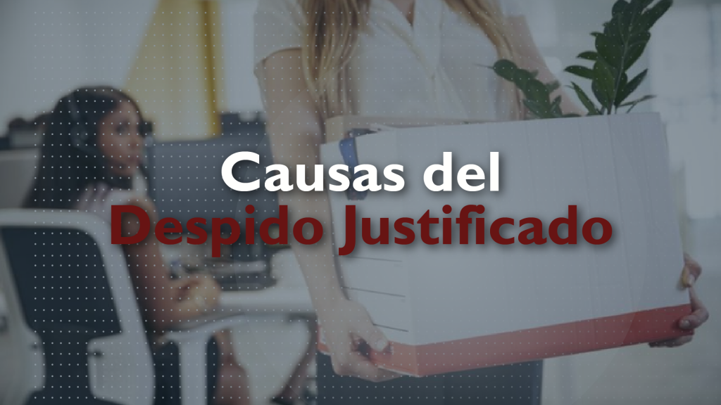 Causas del Despido